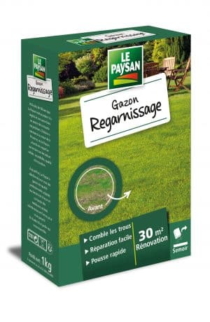 GAZON - REGARNISSAGE
