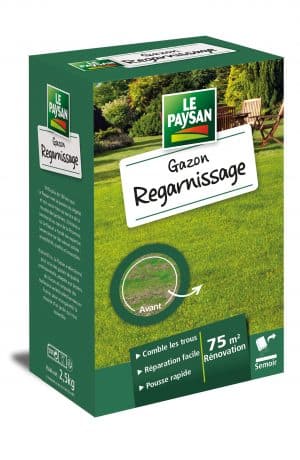GAZON - REGARNISSAGE