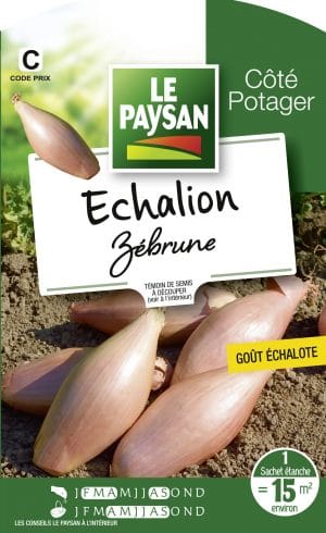 ECHALION - ZEBRUNE