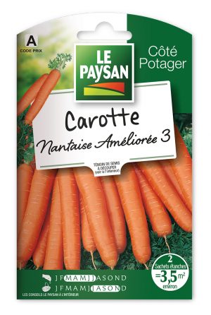 CAROTTE - NANTAISE AMELIOREE 3