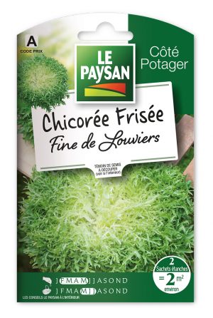 CHICOREE FRISEE - FINE DE LOUVIERS