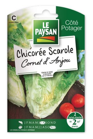 CHICOREE SCAROLE - CORNET D'ANJOU