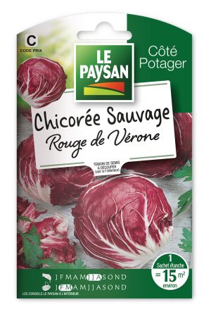 CHICOREE SAUVAGE - ROUGE DE VERONE