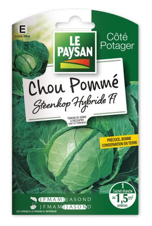 CHOU POMME - STEENKOP HYBRIDE F1