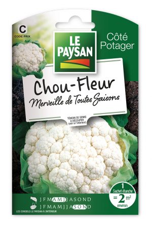 CHOU-FLEUR - MERVEILLE DE TOUTES SAISONS