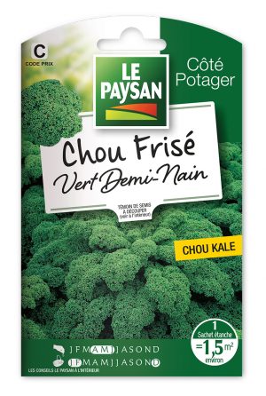 CHOU FRISE - VERT DEMI NAIN (KALE)