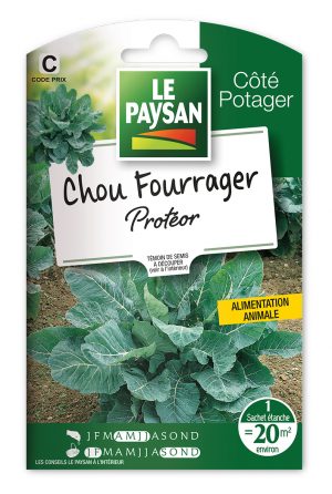 CHOU FOURRAGER - PROTEOR