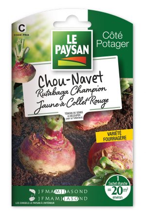 CHOU-NAVET - RUTABAGA CHAMPION JAUNE A COLLET ROUGE
