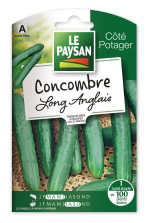 CONCOMBRE - LONG ANGLAIS