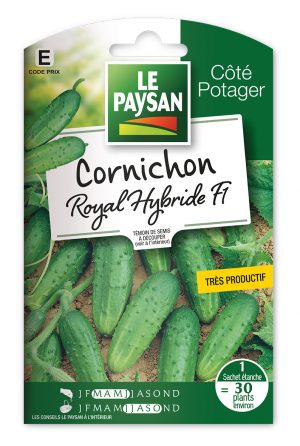 CORNICHON - ROYAL HYBRIDE F1