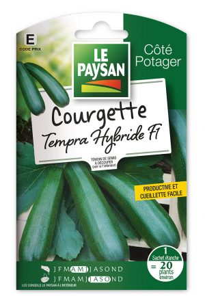 COURGETTE - TEMPRA HYBRIDE F1