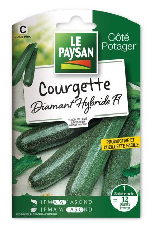 COURGETTE - DIAMANT HYBRIDE F1