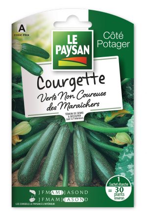 COURGETTE - VERTE NON COUREUSE DES MARAICHERS