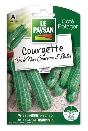 COURGETTE - VERTE NON COUREUSE D' Italie