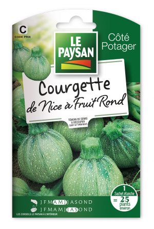 COURGETTE - DE NICE A FRUIT ROND