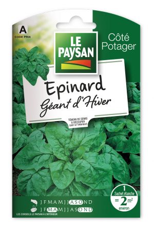 EPINARD - GEANT D'HIVER