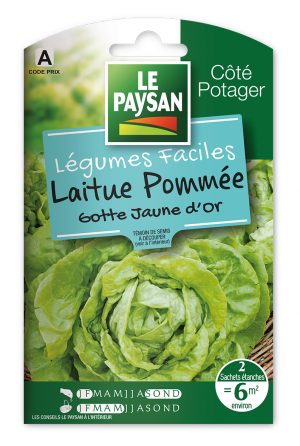 LAITUE - POMMÉE GOTTE JAUNE D'OR