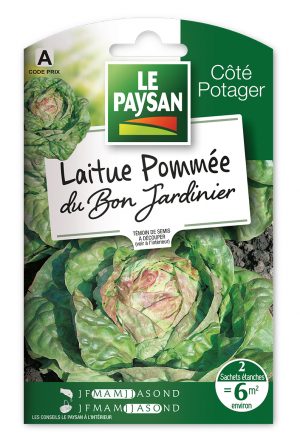 LAITUE - POMMÉE DU BON JARDINIER