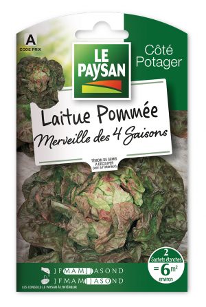 LAITUE - POMMÉE MERVEILLE DES 4 SAISONS