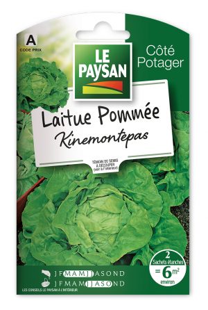 LAITUE - POMMÉE KINEMONTEPAS