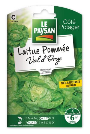 LAITUE - POMMÉE VAL D'ORGE