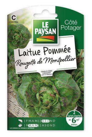 LAITUE - POMMÉE ROUGETTE DE MONTPELLIER