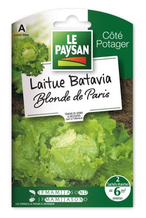 LAITUE - BATAVIA BLONDE DE PARIS