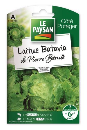 LAITUE - BATAVIA DE PIERRE BENITE