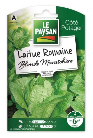 LAITUE - ROMAINE BLONDE MARAICHERE