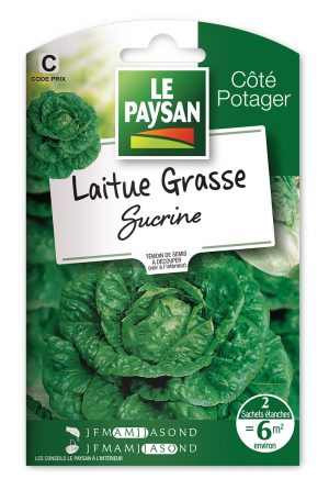 LAITUE - GRASSE SUCRINE