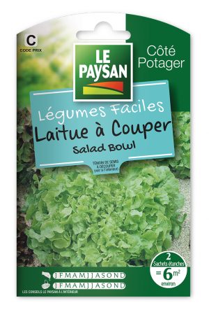 LAITUE - A COUPER SALAD BOWL