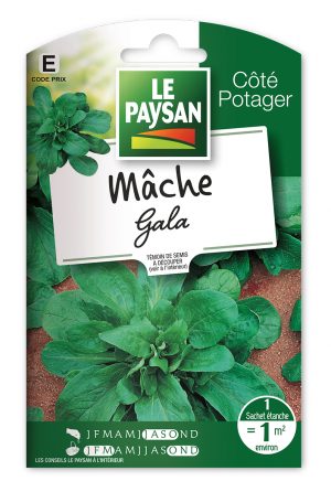 MÂCHE (DOUCETTE) - GALA