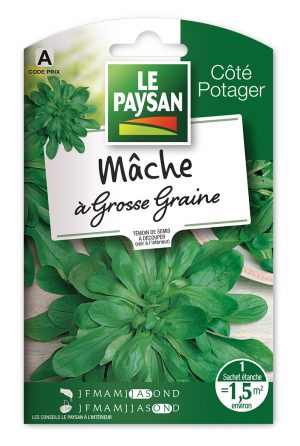 MÂCHE (DOUCETTE) - À GROSSE GRAINE