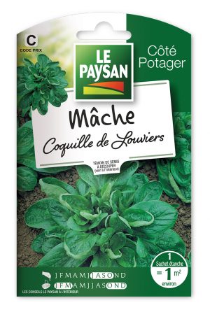 MÂCHE (DOUCETTE) - COQUILLE DE LOUVIERS