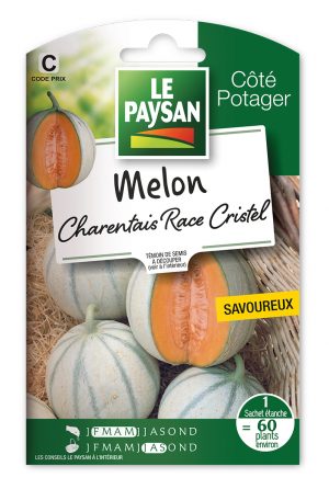 MELON - CHARENTAIS RACE CRISTEL
