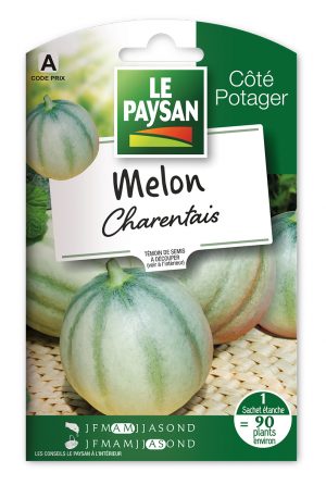 MELON - CHARENTAIS