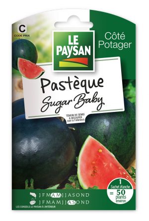 PASTEQUE (MELON D'EAU) - SUGAR BABY