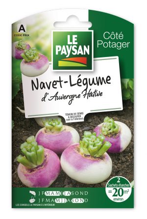 NAVET - RAVE D'AUVERGNE HATIVE