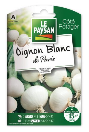 OIGNON - BLANC DE PARIS