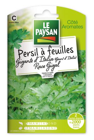 PERSIL G - ÉANT D'ITALIA (GEANT D'Italie) RACE GIGAL