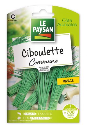 CIBOULETTE - COMMUNE