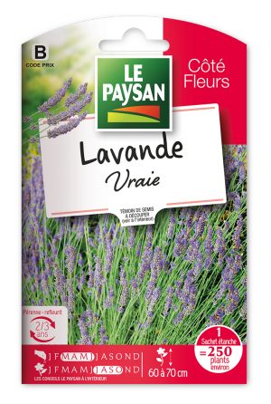 LAVANDE - VRAIE