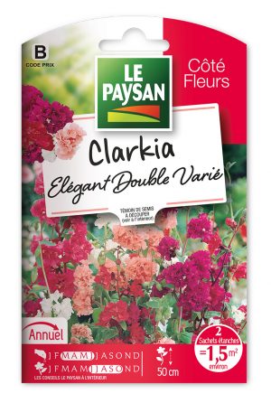 CLARKIA - ELEGANT DOUBLE VARIE