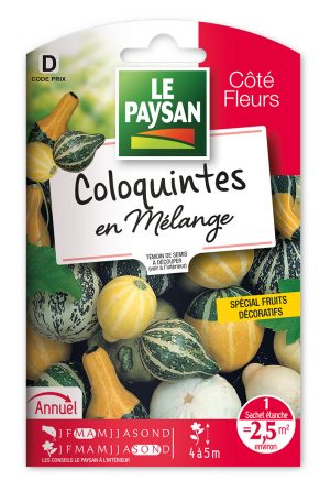 COLOQUINTES               - EN MELANGE