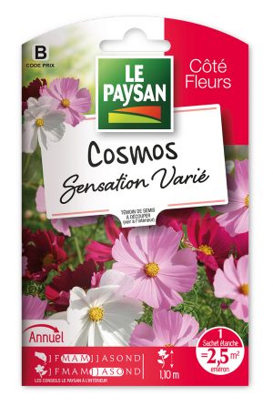 COSMOS - GEANT SENSATION VARIE