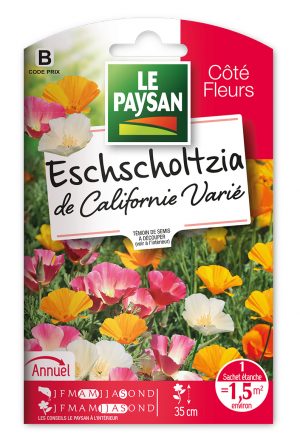 ESCHSCHOLTZIA - DE CALIFORNIE VARIE