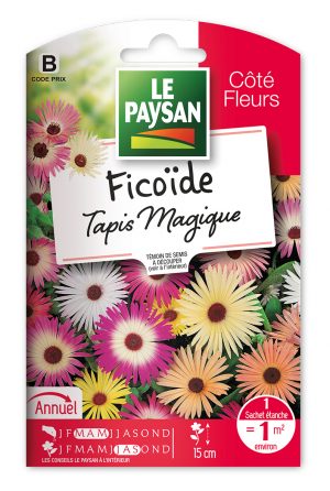 FICOIDE  - TAPIS MAGIQUE