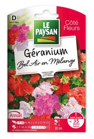 GERANIUM - BEL AIR EN MELANGE