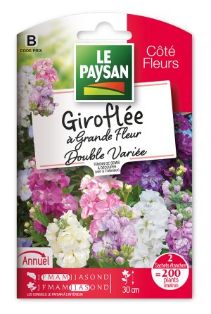 GIROFLEE - A GRANDE FLEUR DOUBLE VARIEE