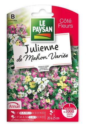JULIENNE - DE MAHON VARIEE
